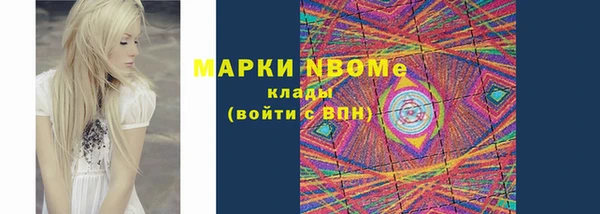 шишки Новокубанск