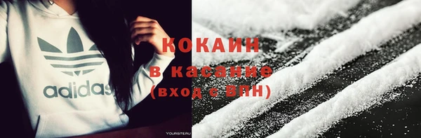 дживик Новозыбков