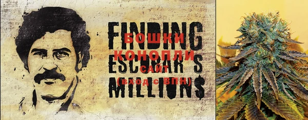 дживик Новозыбков