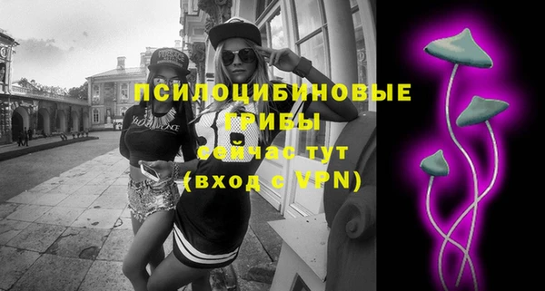 круглые Новодвинск